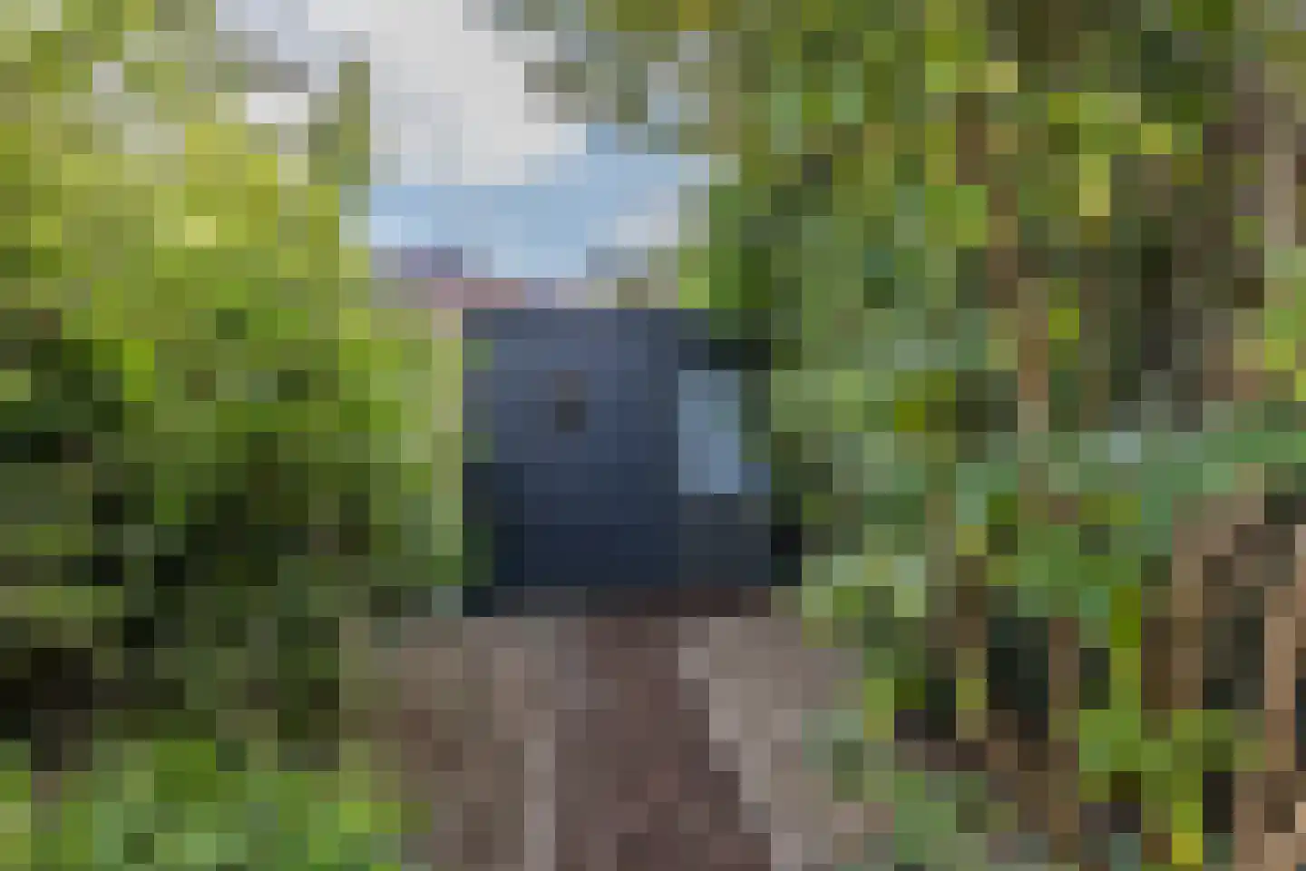 Amsterdamseweg 14 Arnhem thumbnail 15