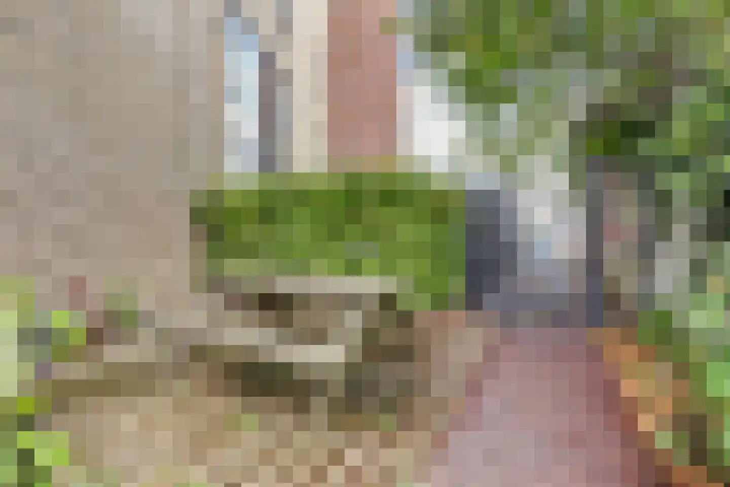 Amsterdamseweg 14 Arnhem thumbnail 28