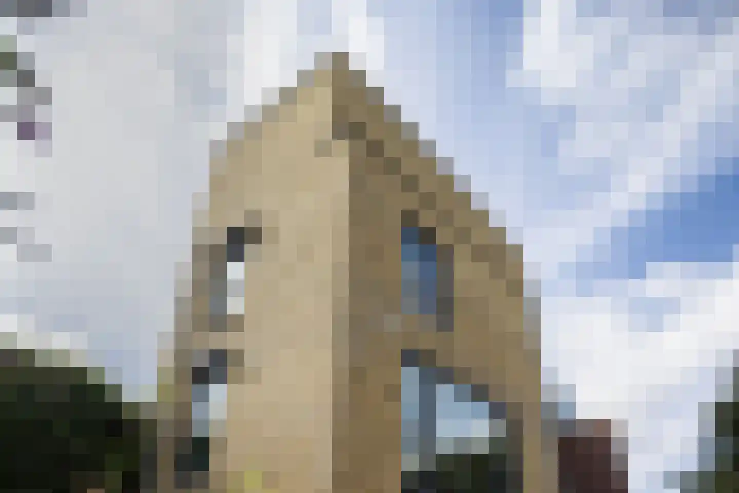 Amsterdamseweg 14 Arnhem thumbnail 35