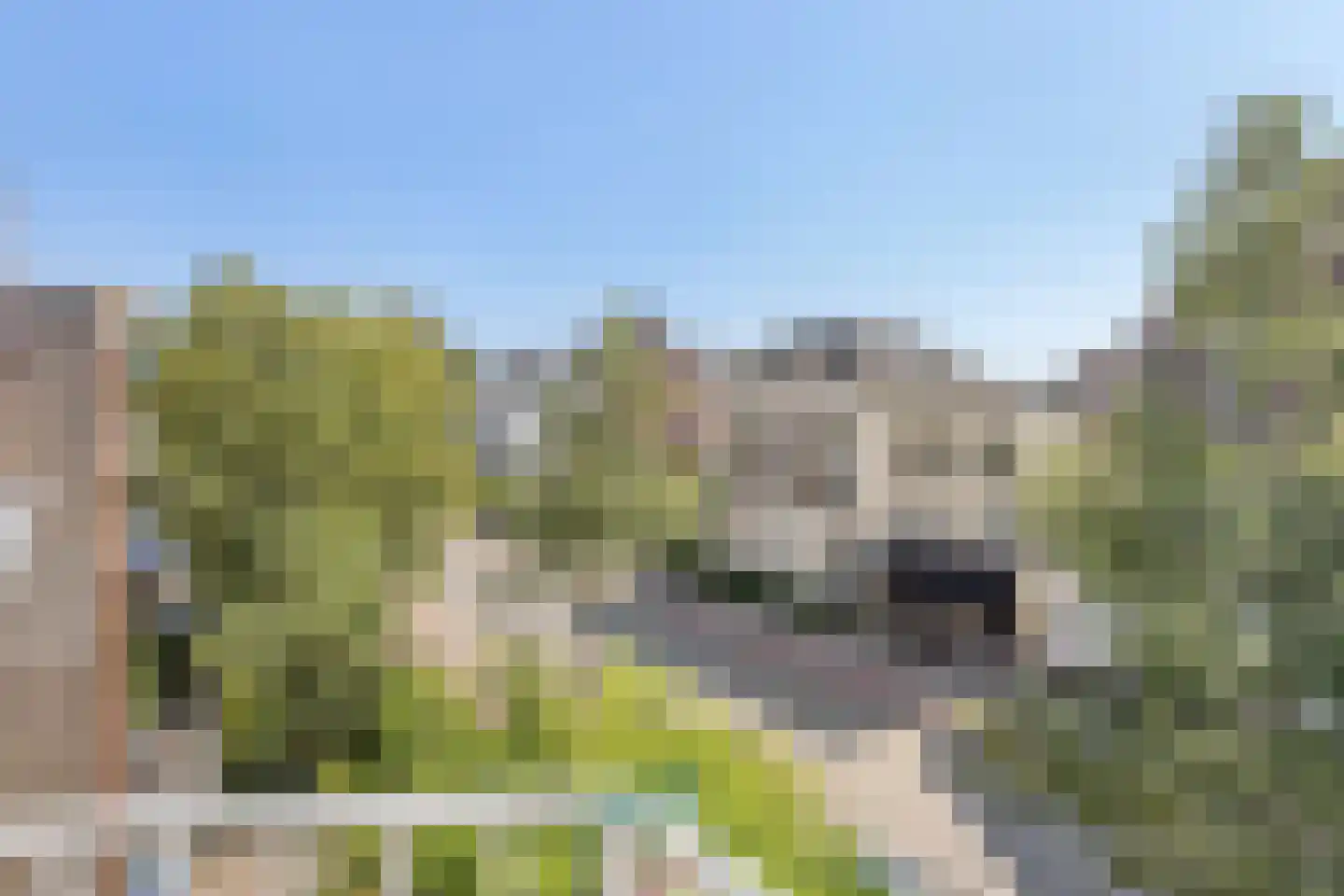 Amsterdamseweg 140 Arnhem thumbnail 25