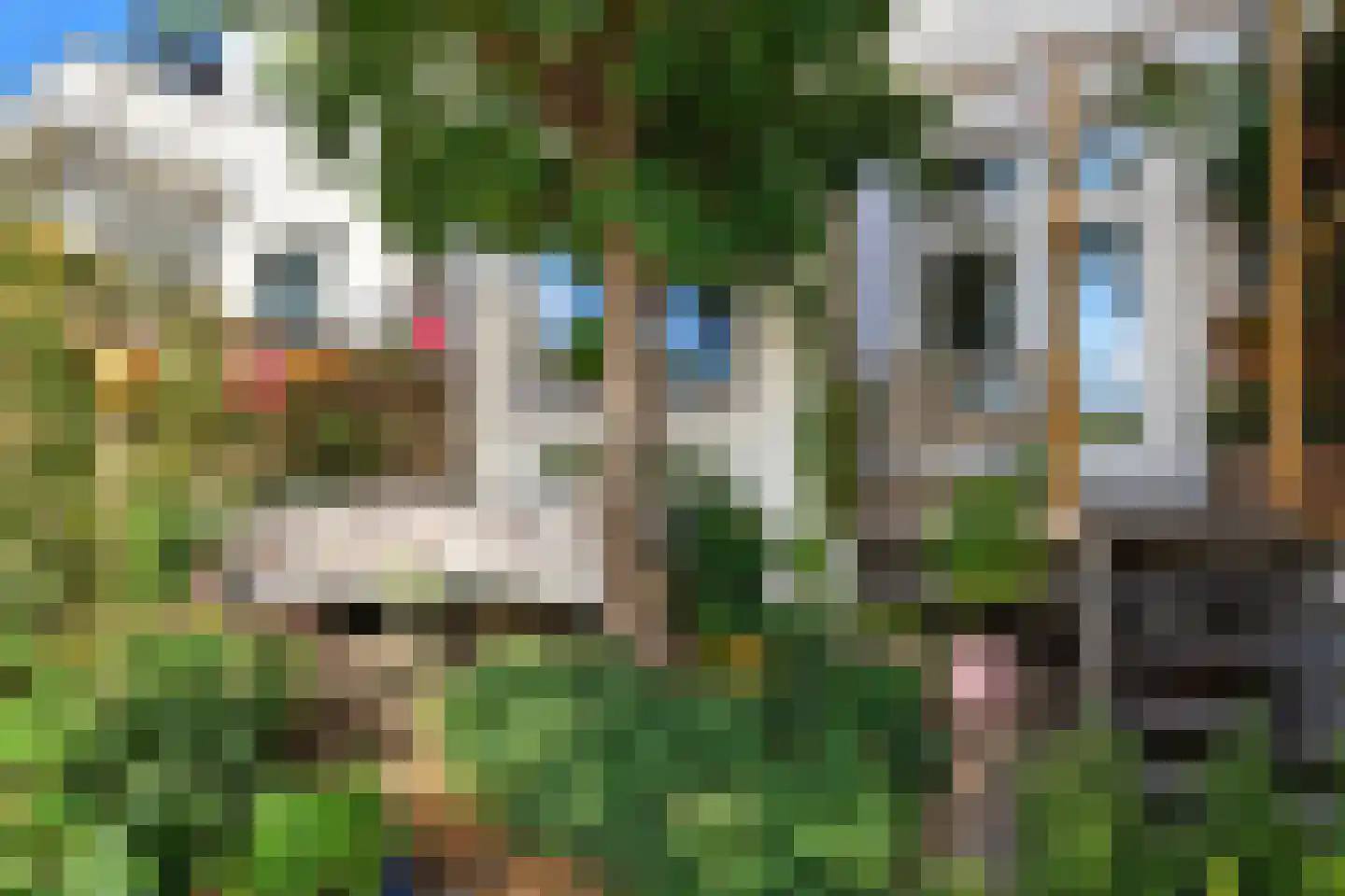 Amsterdamseweg 143 Arnhem thumbnail 30