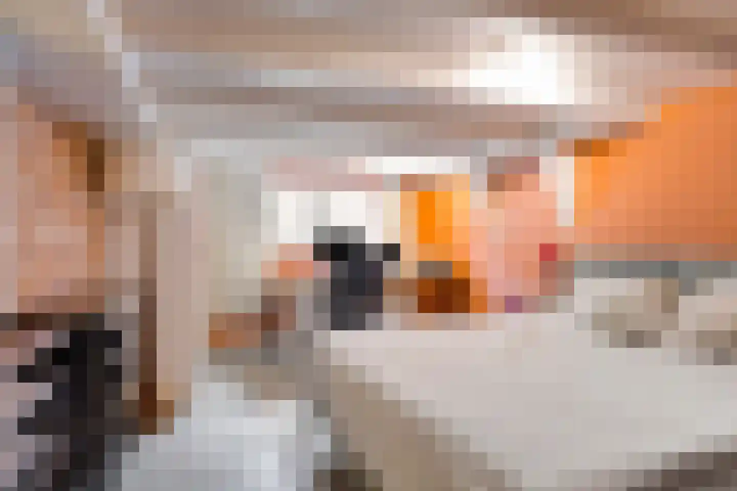 Amsterdamseweg 149 Arnhem thumbnail 24
