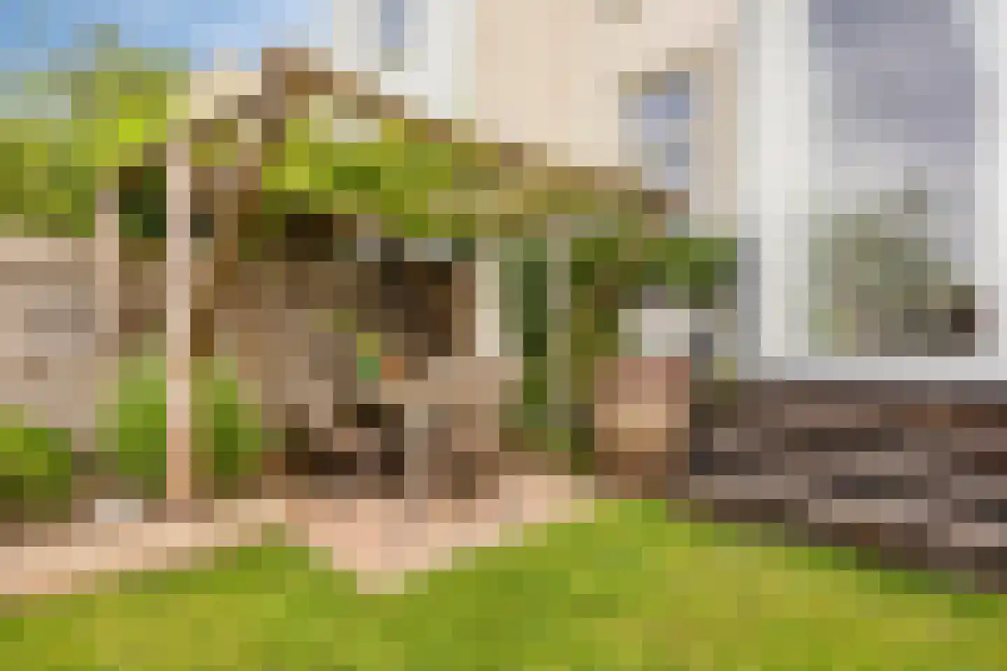 Amsterdamseweg 149 Arnhem thumbnail 31