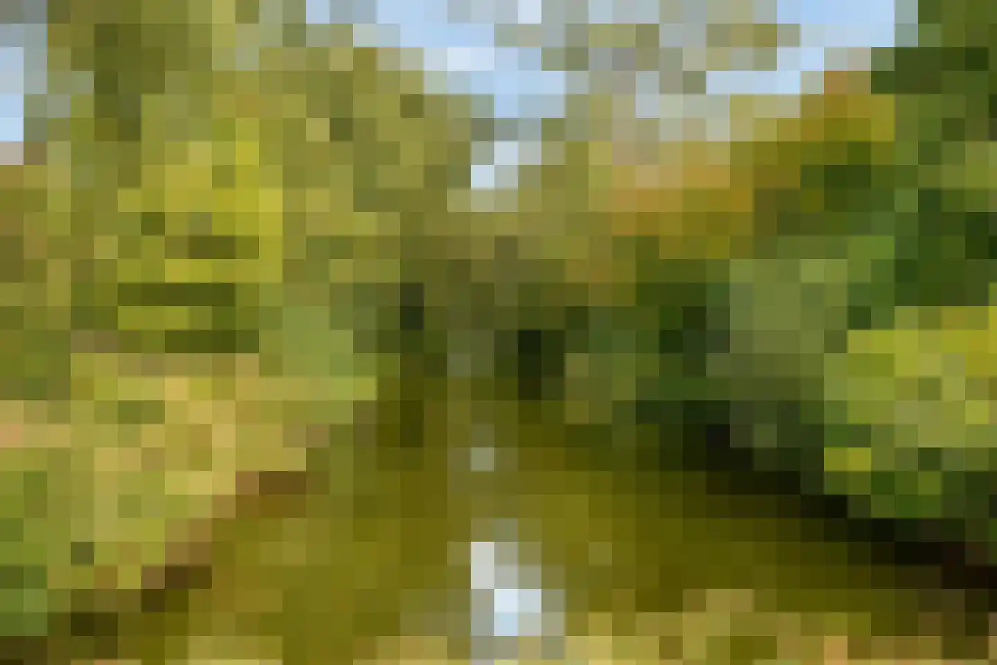 Amsterdamseweg 157 Amstelveen thumbnail 56