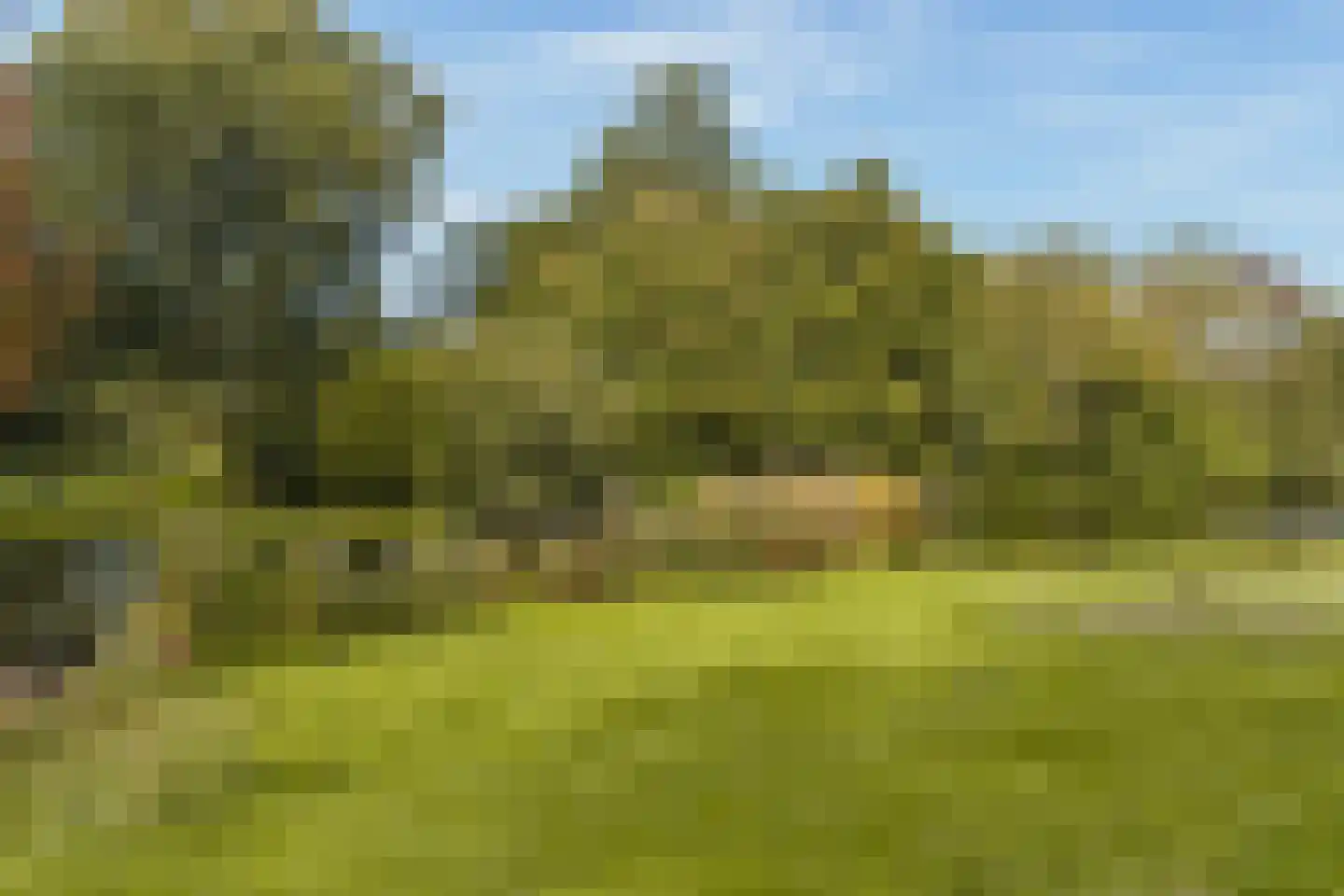 Amsterdamseweg 157 Amstelveen thumbnail 57