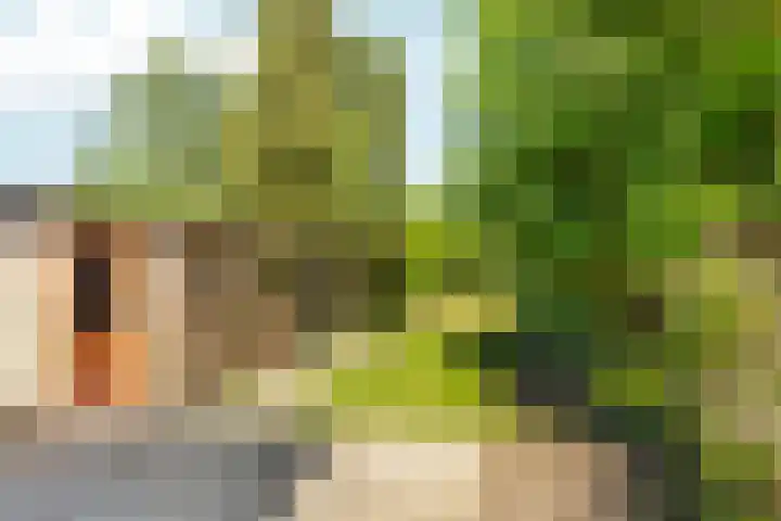 Amsterdamseweg 170 Arnhem thumbnail 30
