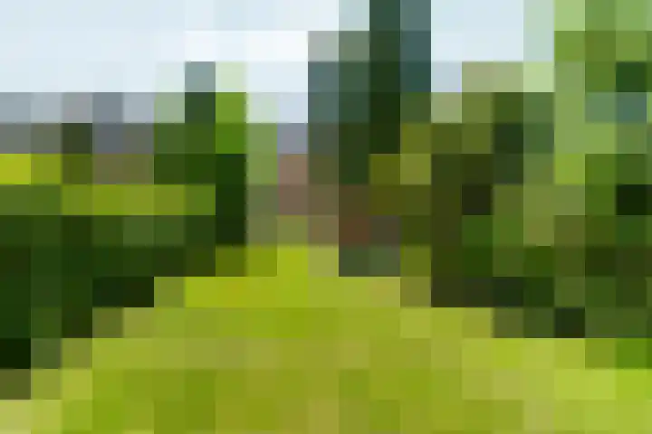 Amsterdamseweg 170 Arnhem thumbnail 33