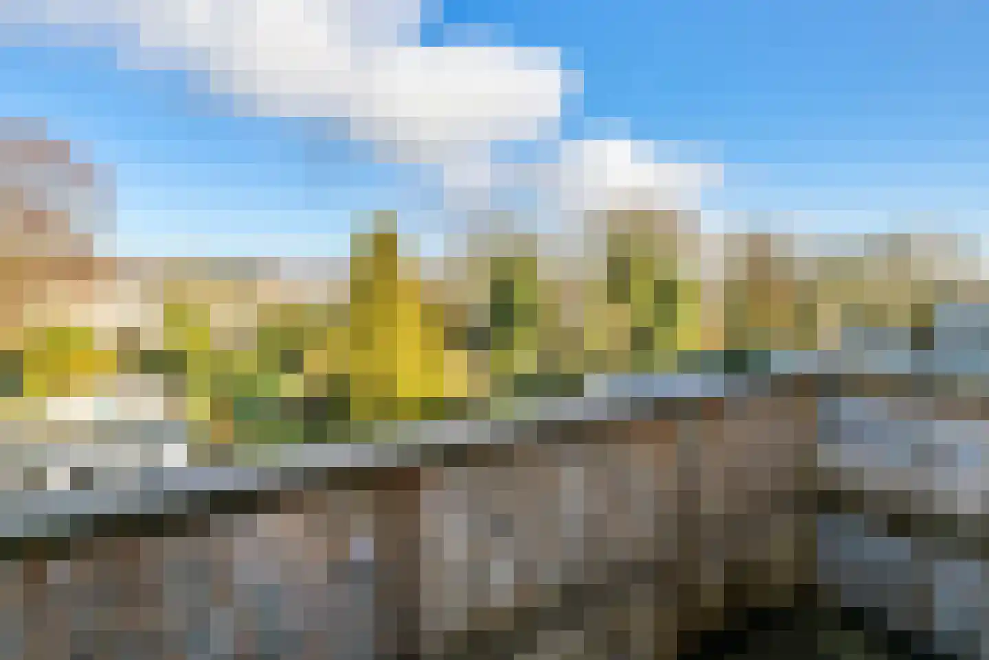 Amsterdamseweg 174 Arnhem thumbnail 28
