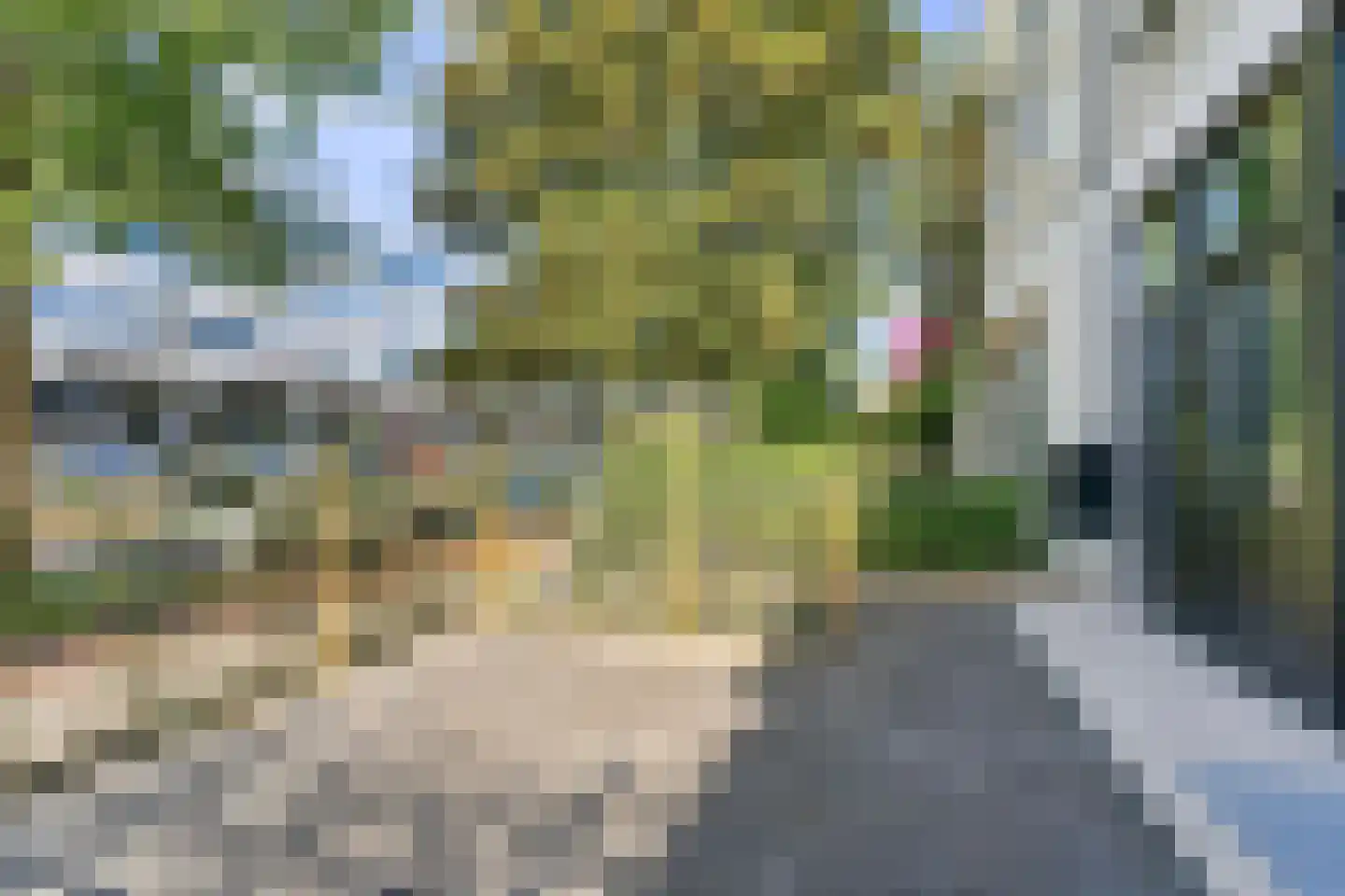 Amsterdamseweg 178 Arnhem thumbnail 52