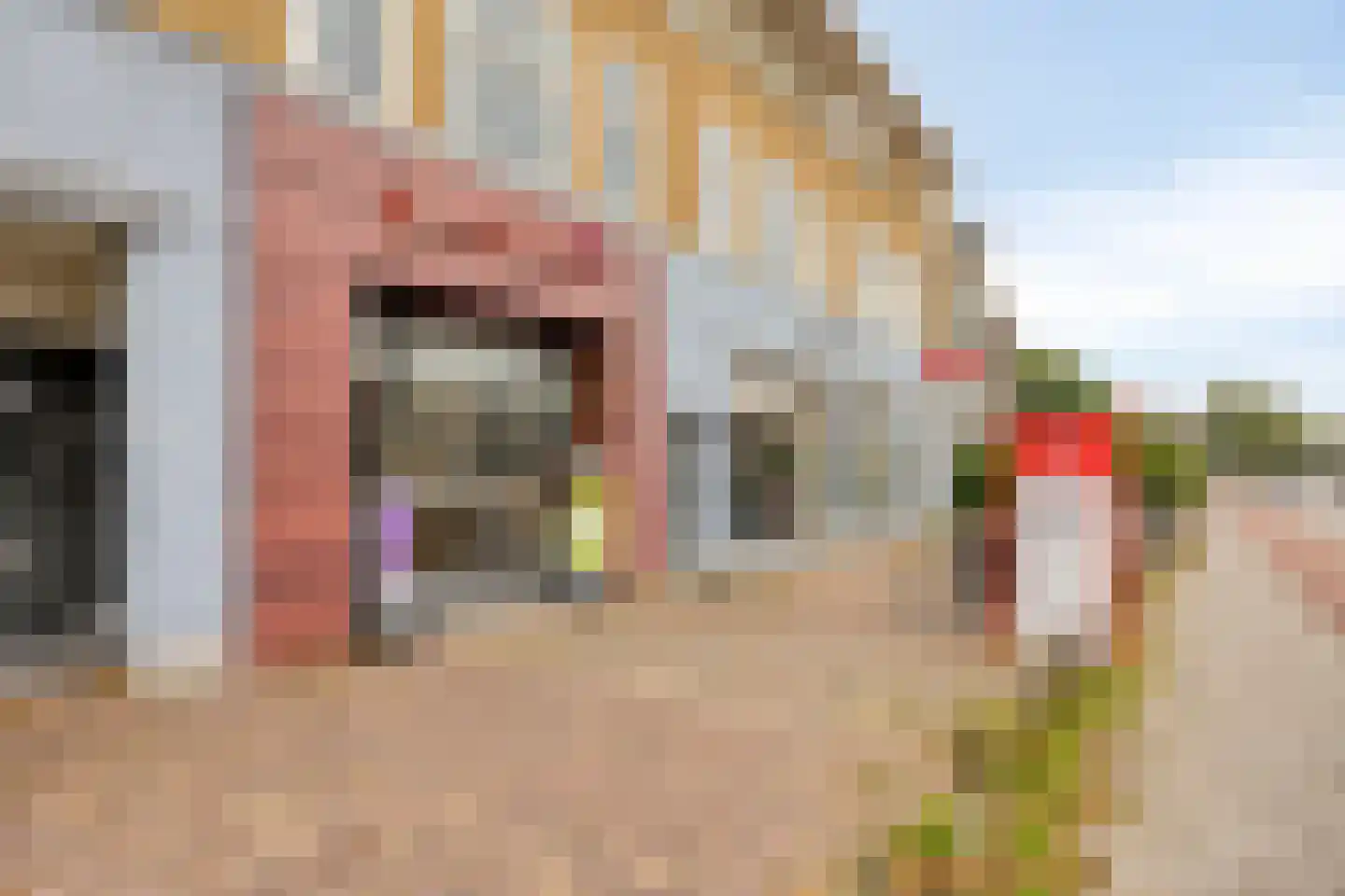 Amsterdamseweg 179 2 Arnhem thumbnail 30