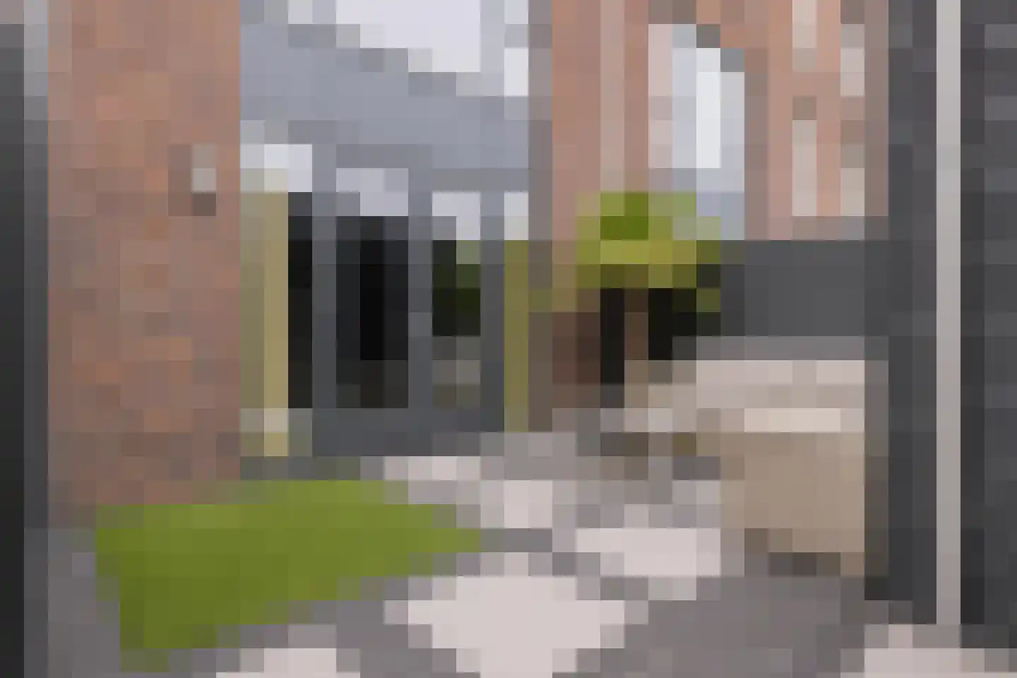 Amsterdamseweg 18 Arnhem thumbnail 7