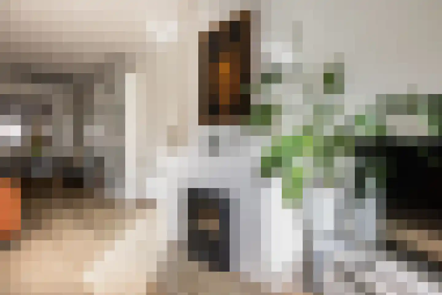 Amsterdamseweg 200 Arnhem thumbnail 10