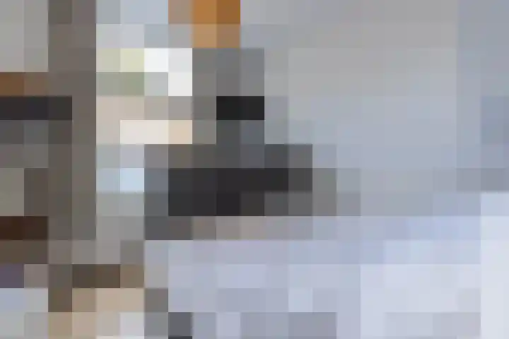 Amsterdamseweg 200 Arnhem thumbnail 19