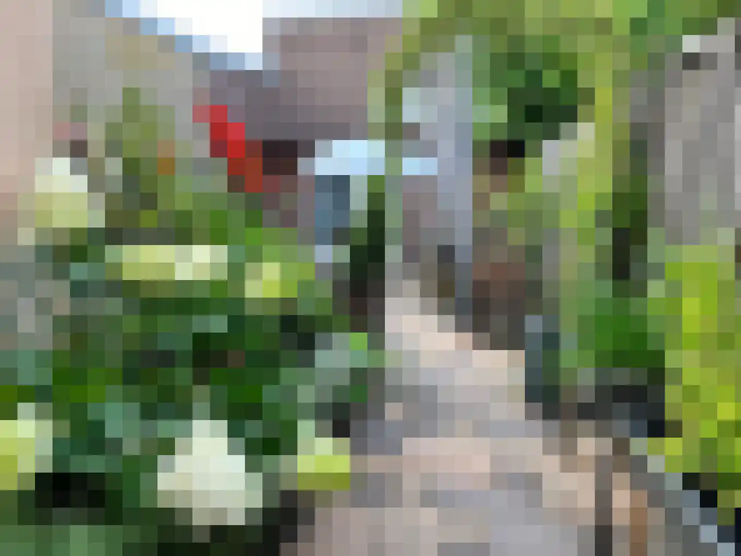 Amsterdamseweg 200 Arnhem thumbnail 25