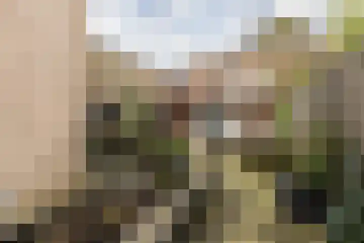 Amsterdamseweg 200 Arnhem thumbnail 25