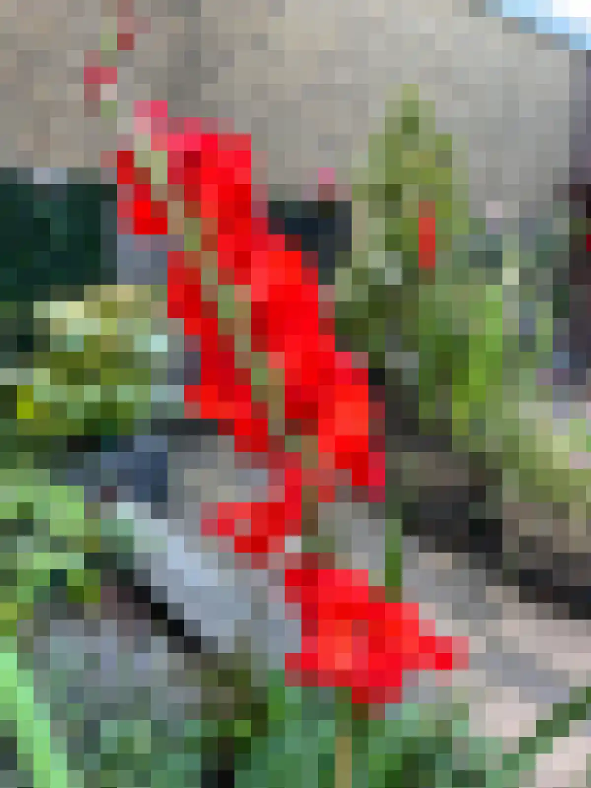 Amsterdamseweg 200 Arnhem thumbnail 27