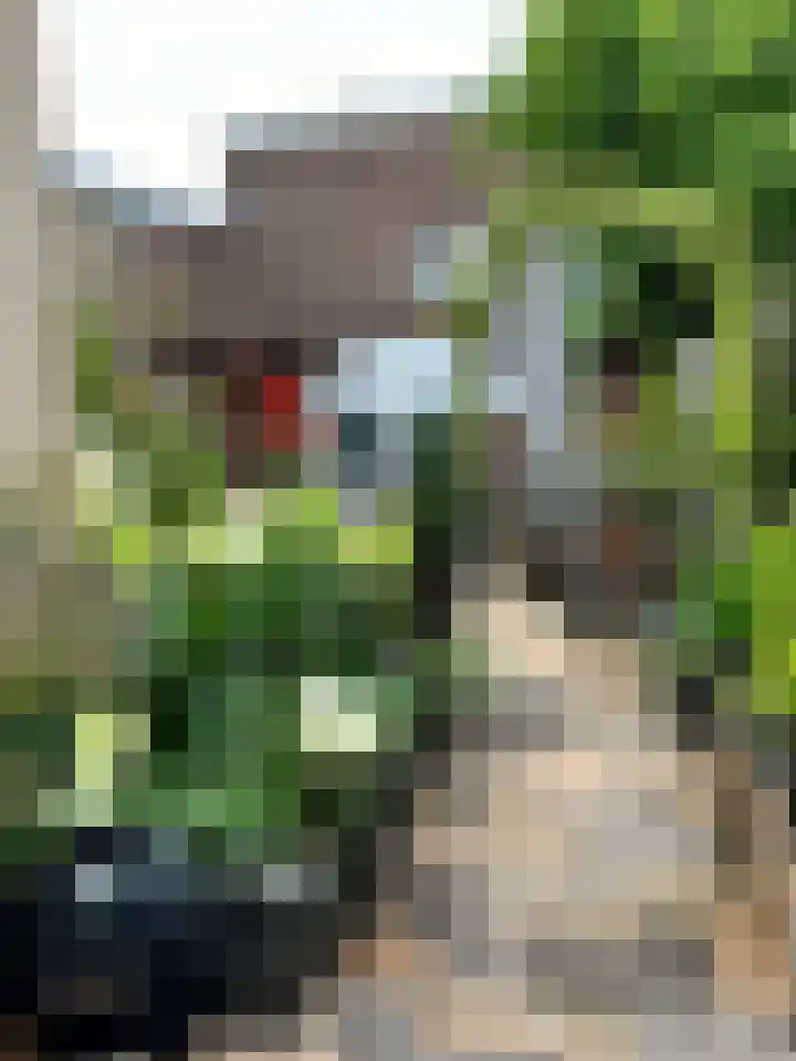 Amsterdamseweg 200 Arnhem thumbnail 28