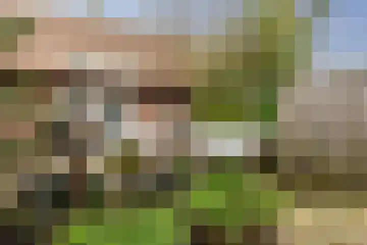 Amsterdamseweg 200 Arnhem thumbnail 4