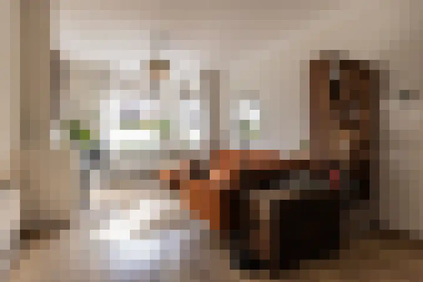 Amsterdamseweg 200 Arnhem thumbnail 7