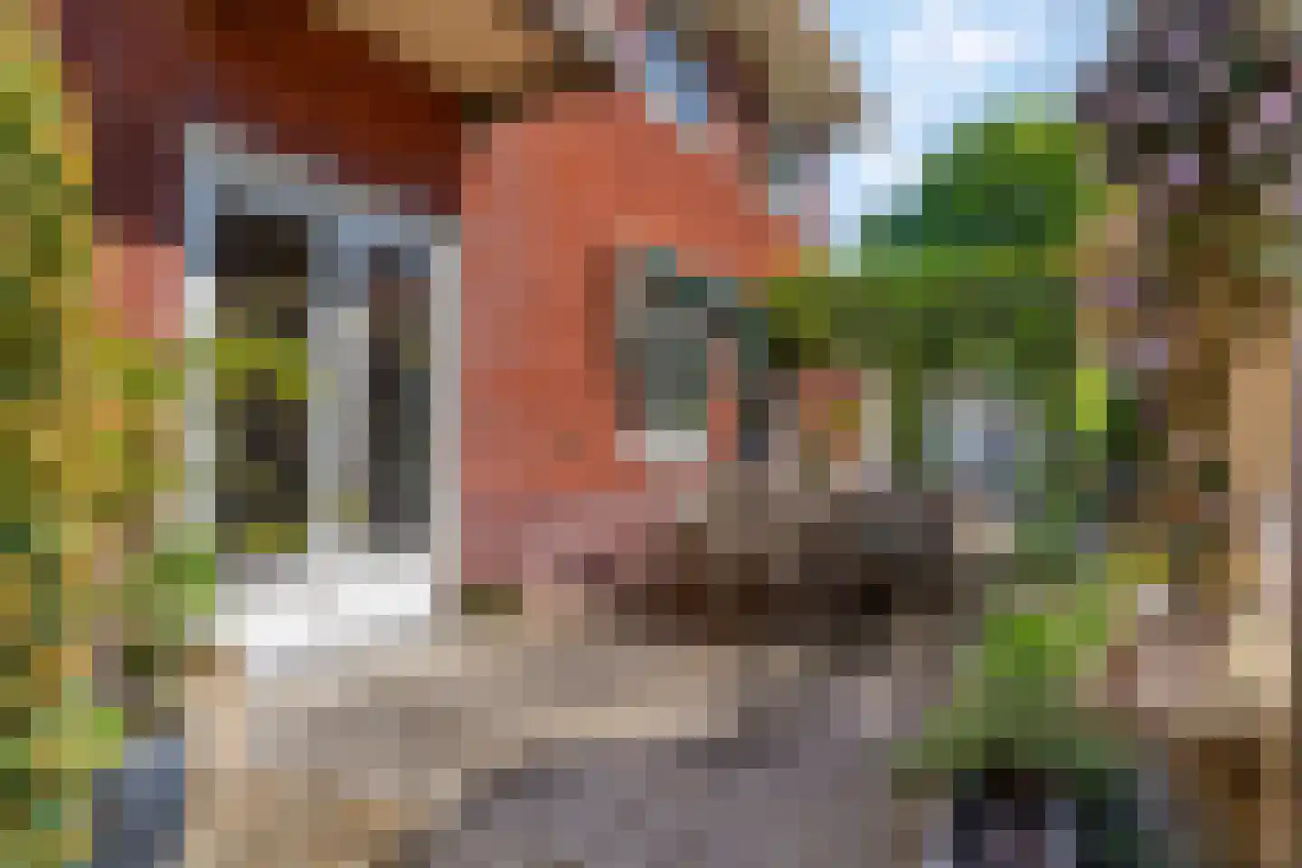 Amsterdamseweg 21 Ede thumbnail 47