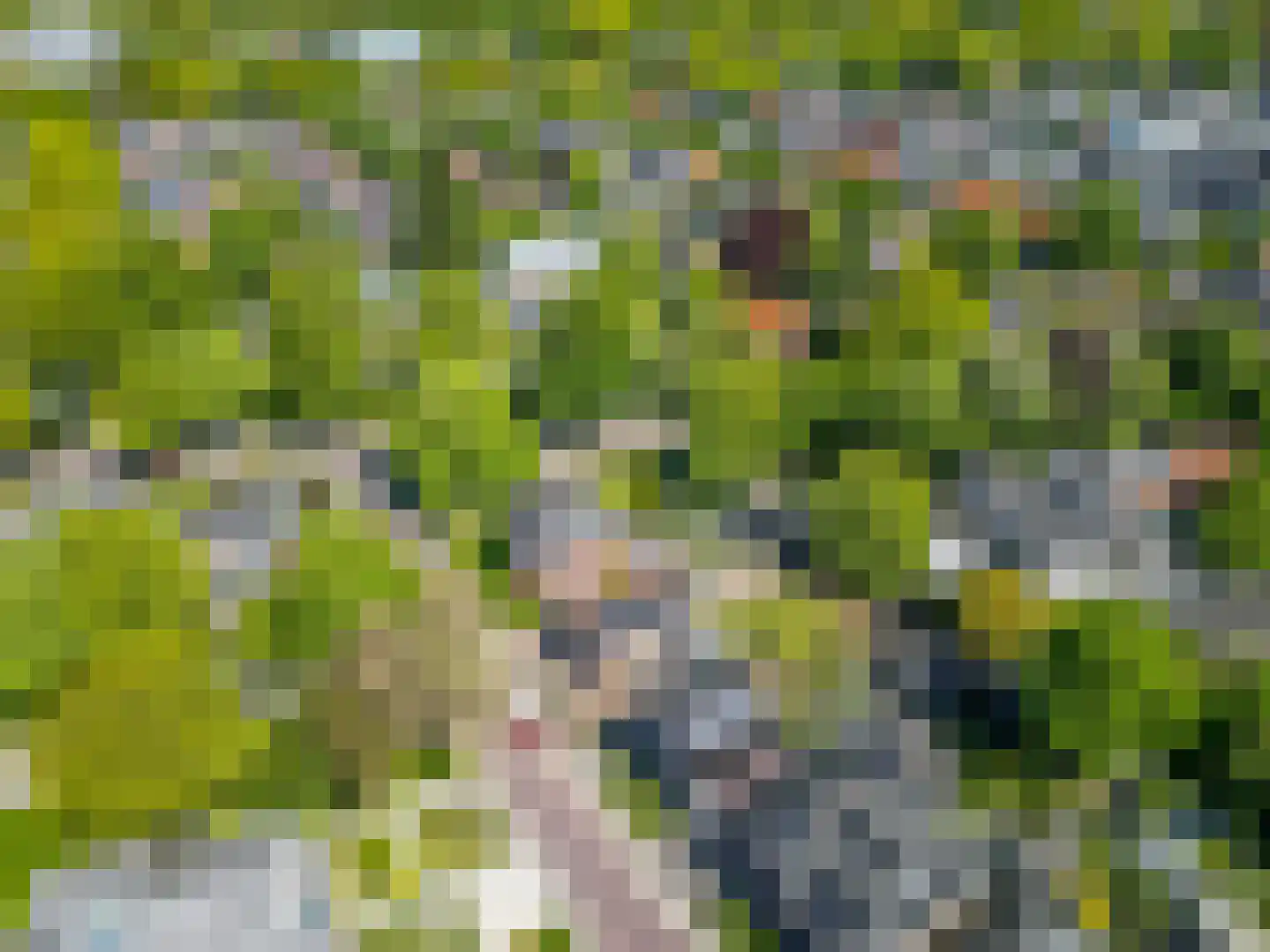 Amsterdamseweg 21 Ede thumbnail 69