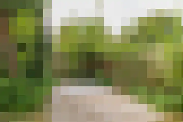 Amsterdamseweg 211 Amstelveen thumbnail 29