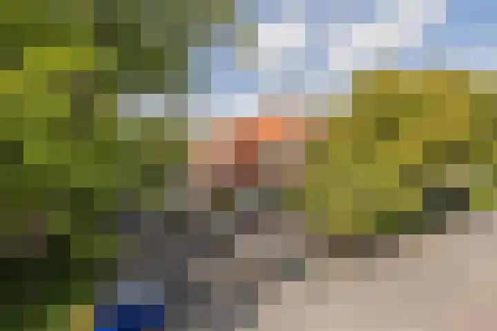 Amsterdamseweg 211 Amstelveen thumbnail 56