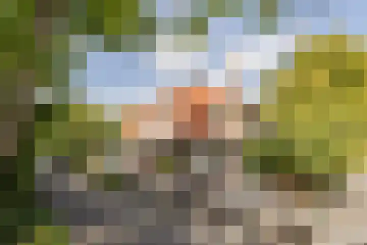 Amsterdamseweg 211 Amstelveen thumbnail 57