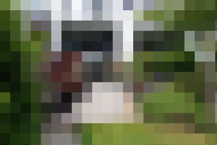 Amsterdamseweg 224 Amstelveen thumbnail 58