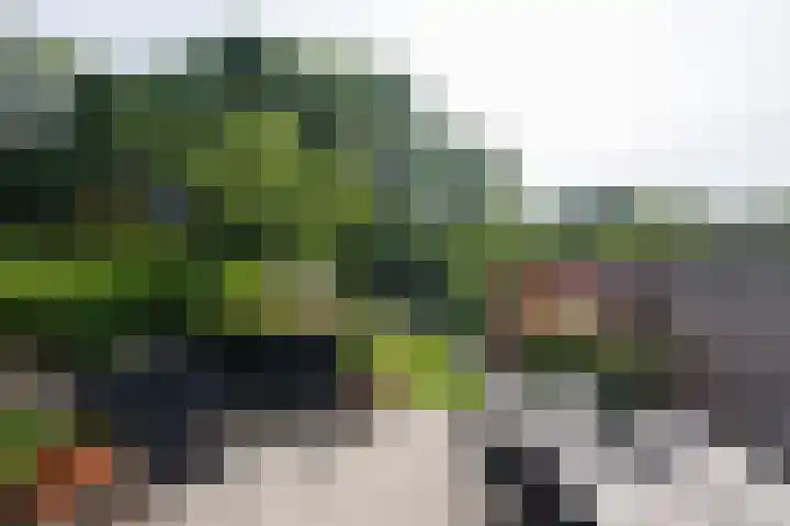 Amsterdamseweg 224 Amstelveen thumbnail 64