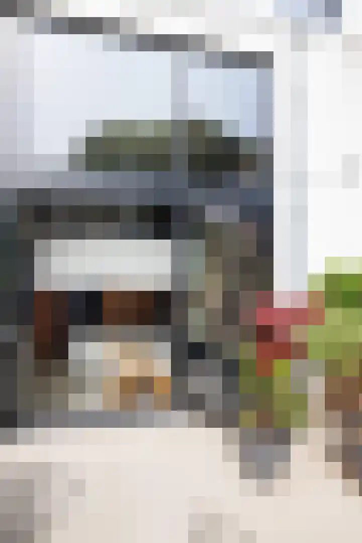 Amsterdamseweg 224 Amstelveen thumbnail 65