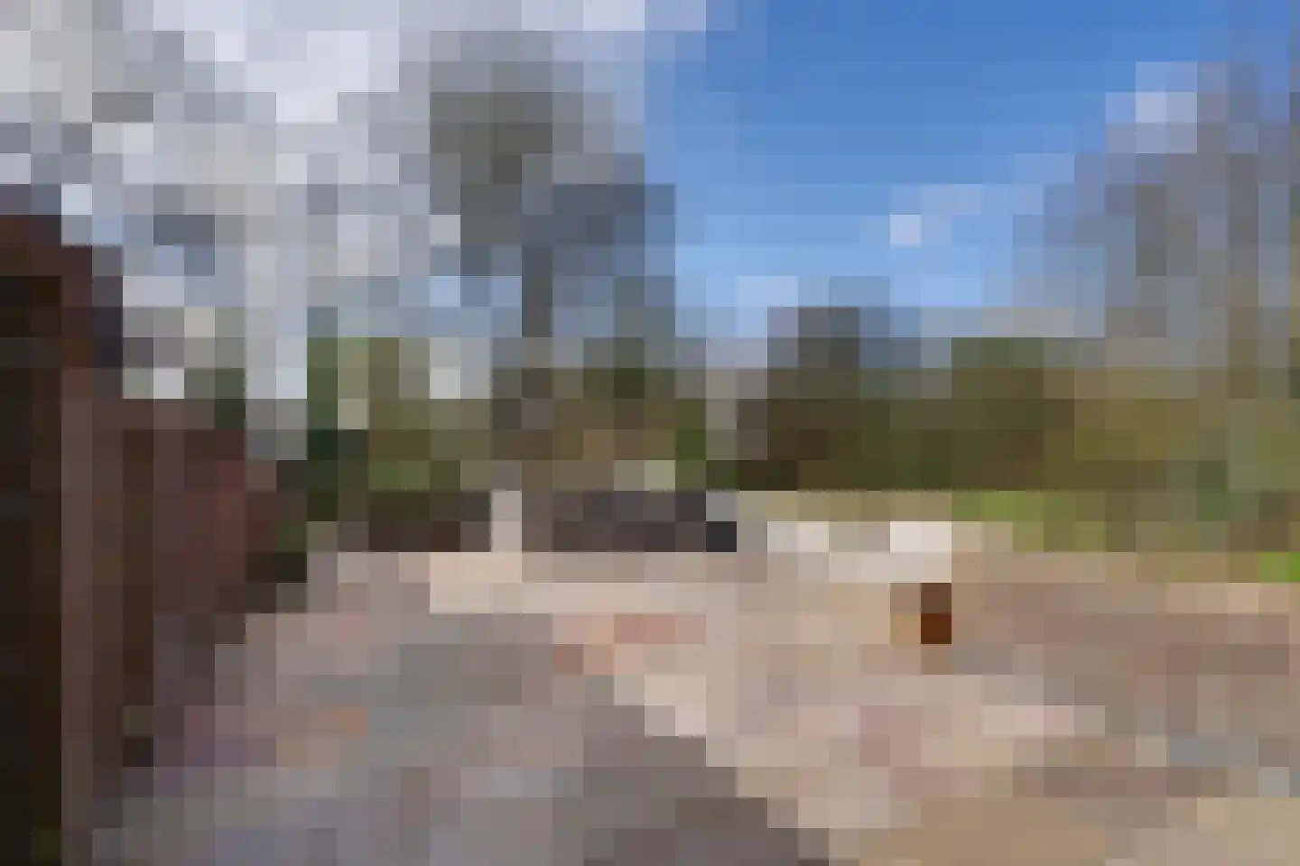 Amsterdamseweg 229 Amstelveen thumbnail 20