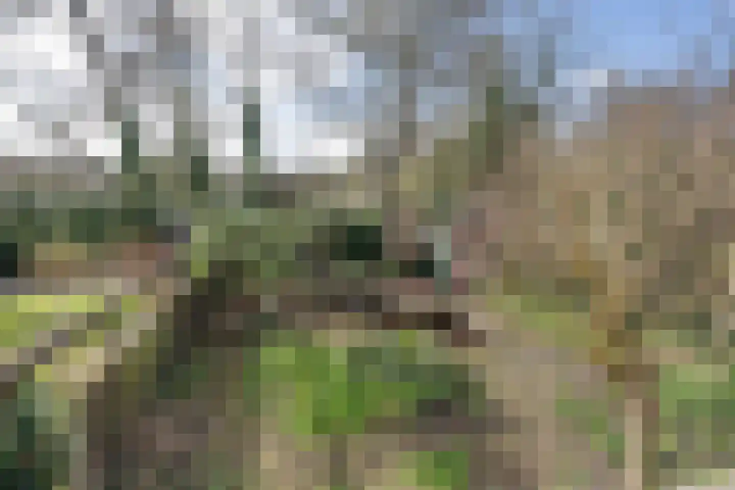 Amsterdamseweg 229 Amstelveen thumbnail 25