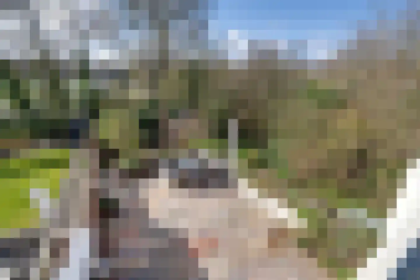 Amsterdamseweg 229 Amstelveen thumbnail 33