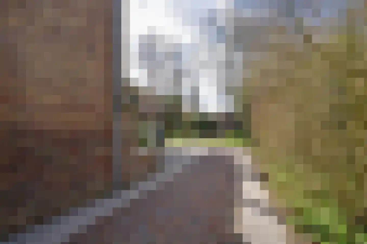 Amsterdamseweg 229 Amstelveen thumbnail 63