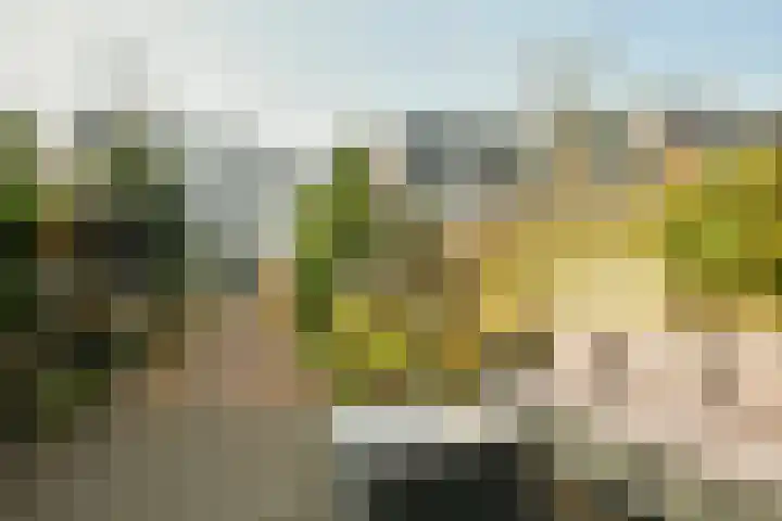 Amsterdamseweg 232 Amstelveen thumbnail 14