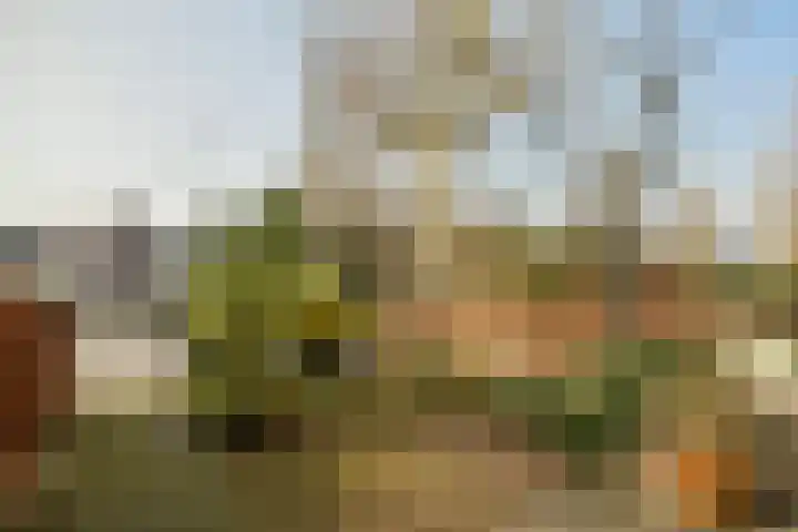 Amsterdamseweg 232 Amstelveen thumbnail 17
