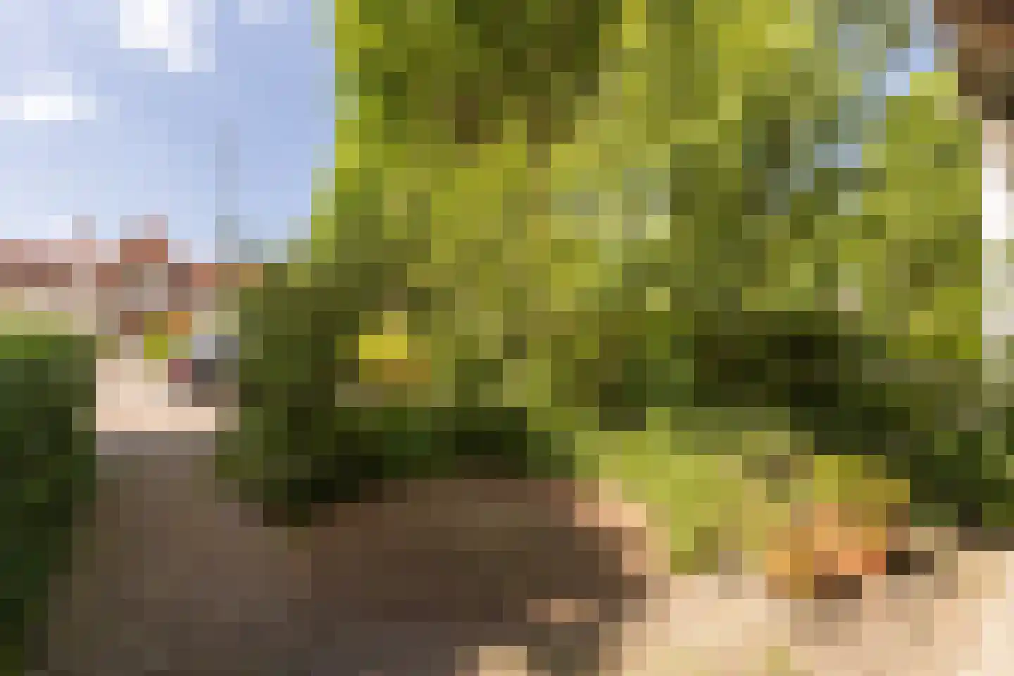 Amsterdamseweg 232 Amstelveen thumbnail 29