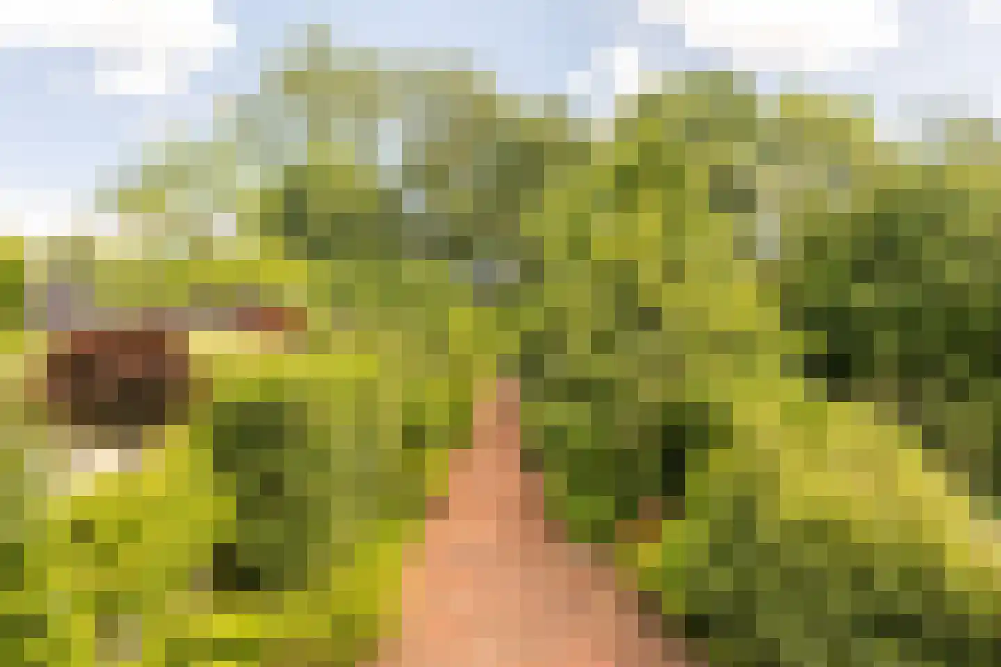 Amsterdamseweg 232 Amstelveen thumbnail 30