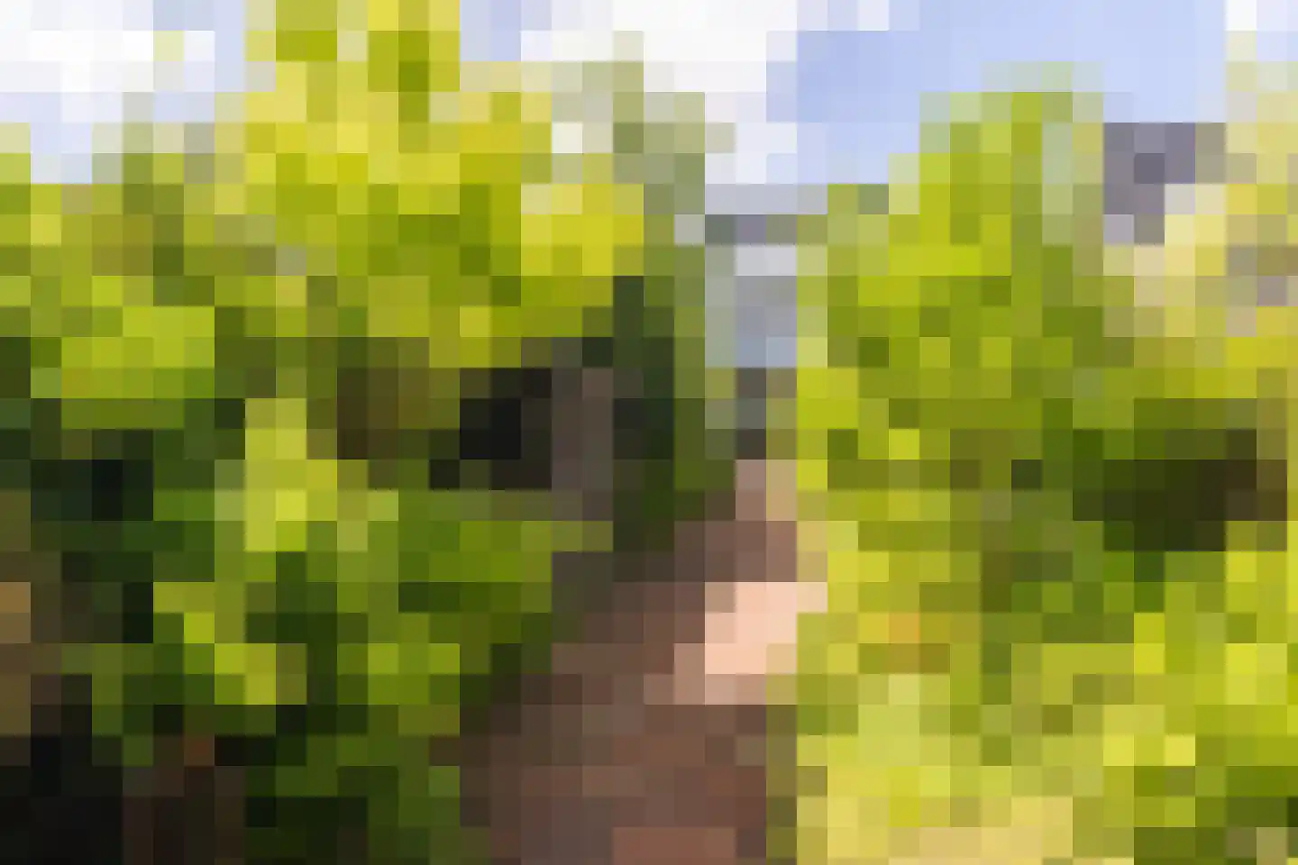 Amsterdamseweg 232 Amstelveen thumbnail 32