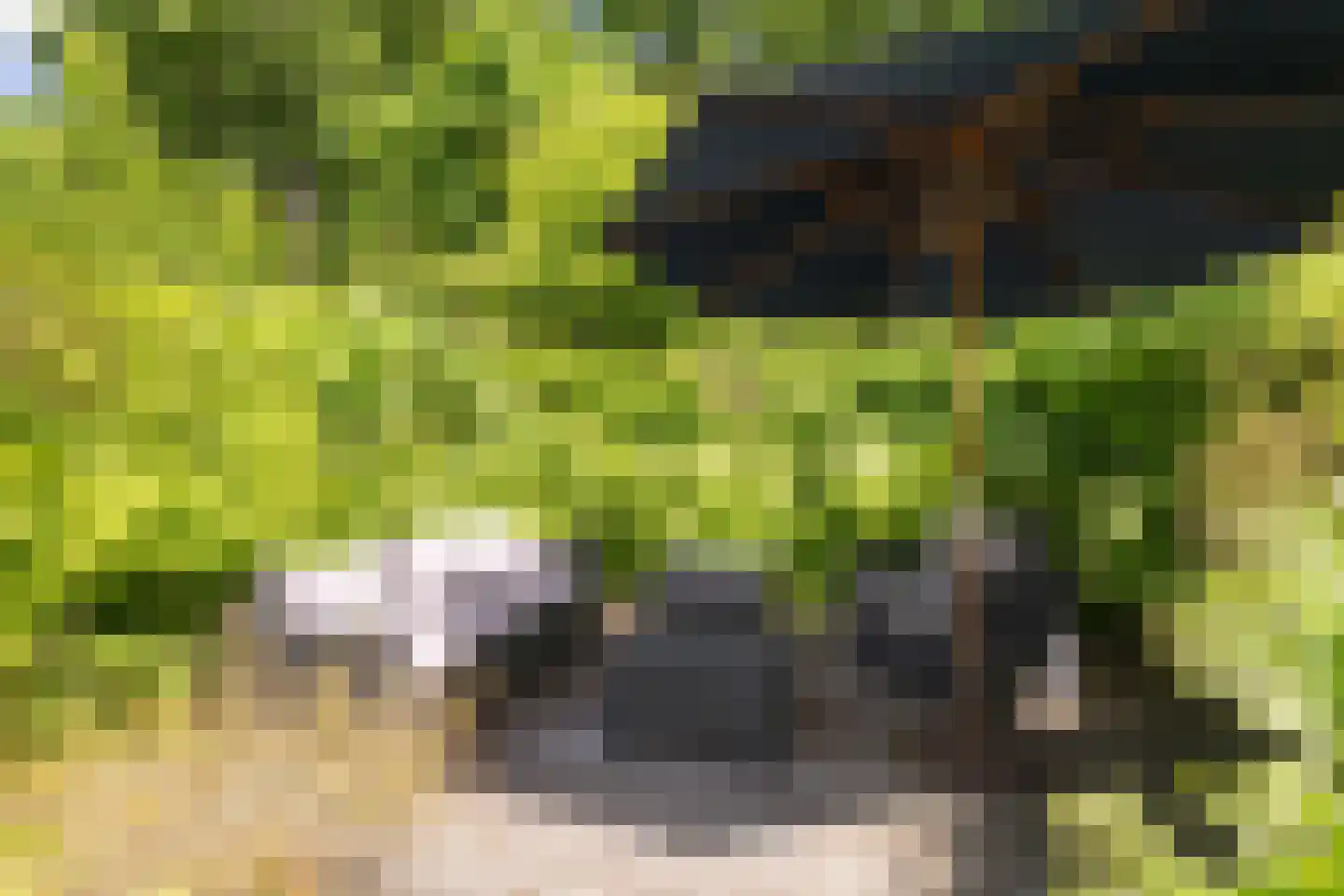 Amsterdamseweg 232 Amstelveen thumbnail 33