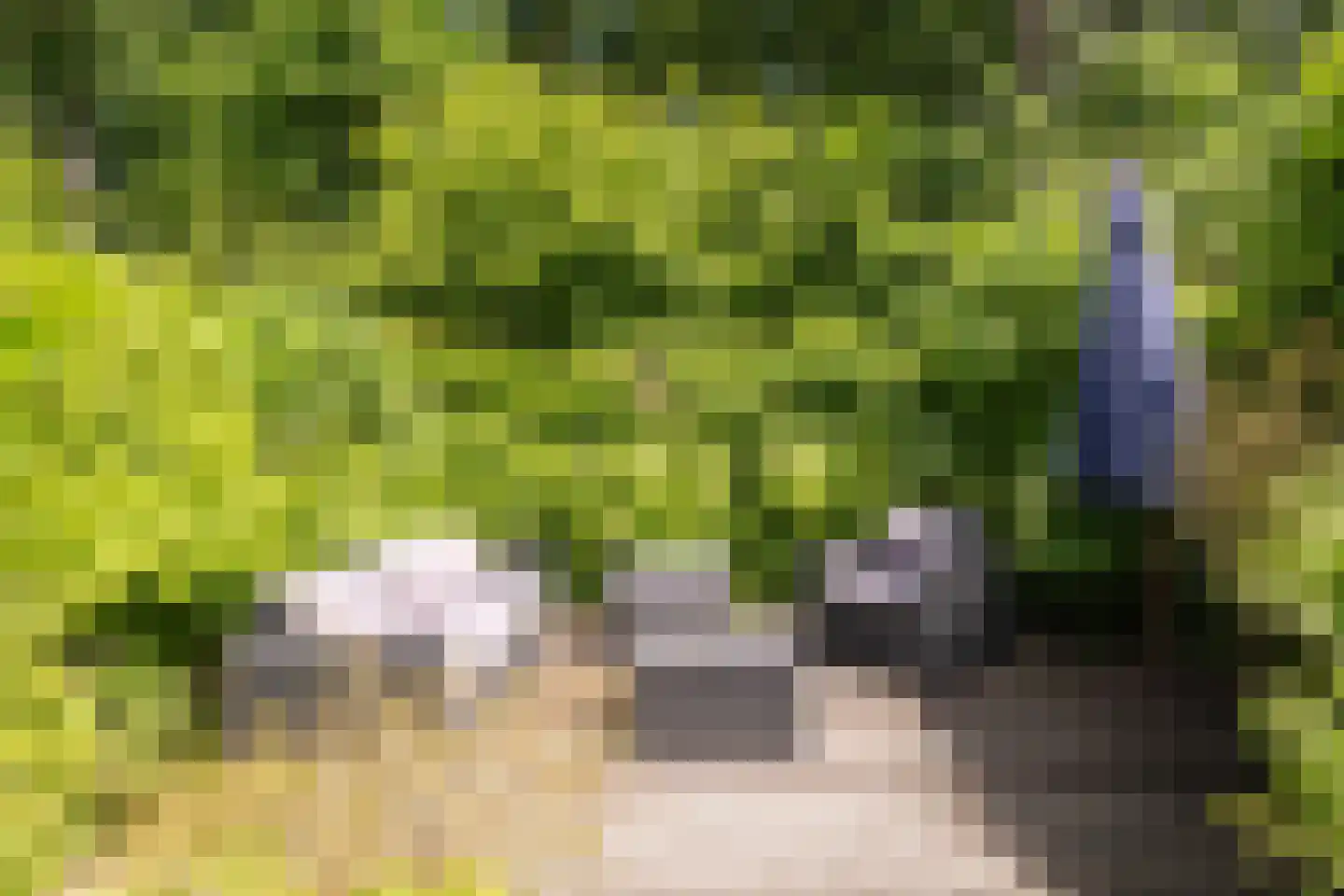 Amsterdamseweg 232 Amstelveen thumbnail 35