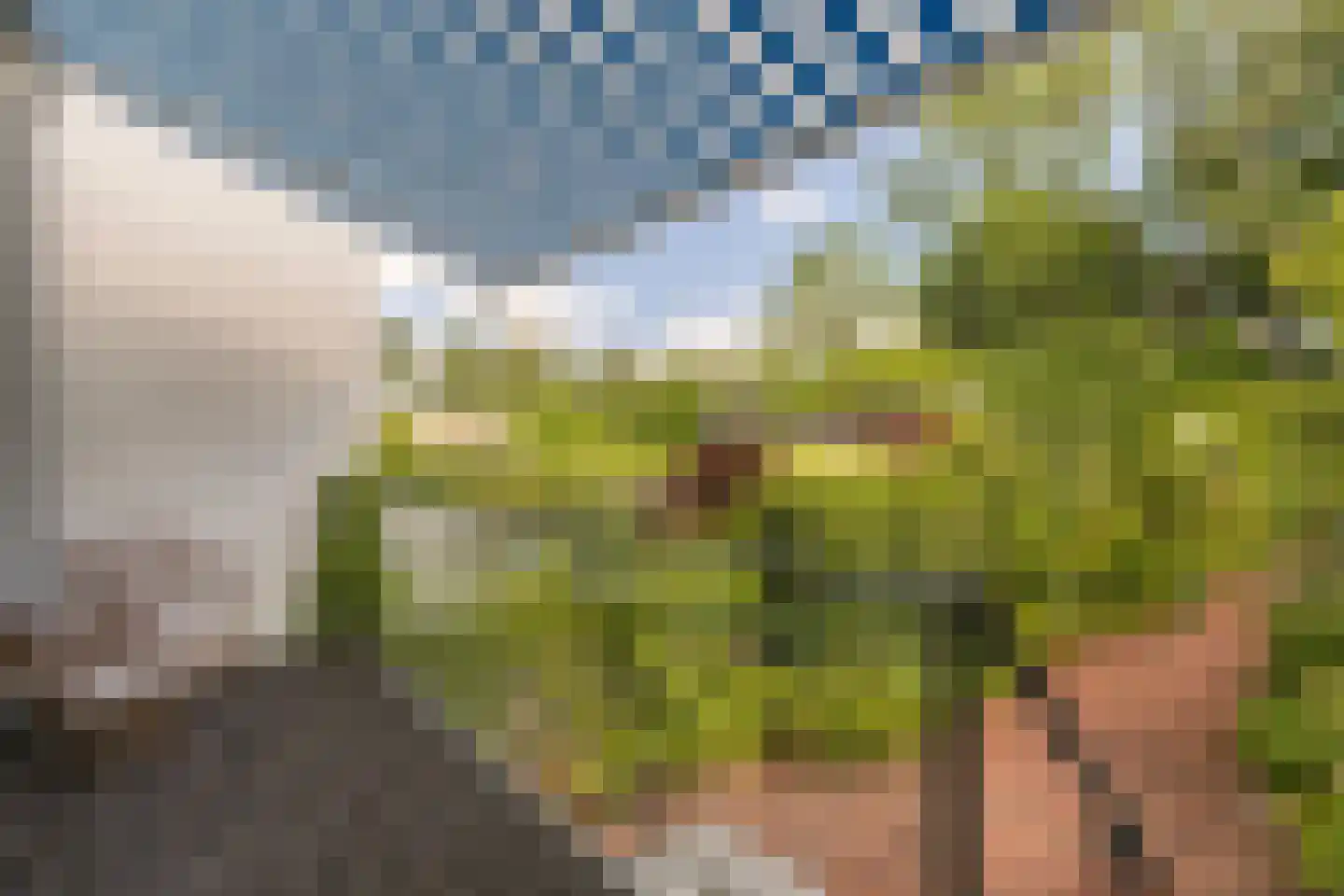 Amsterdamseweg 232 Amstelveen thumbnail 4