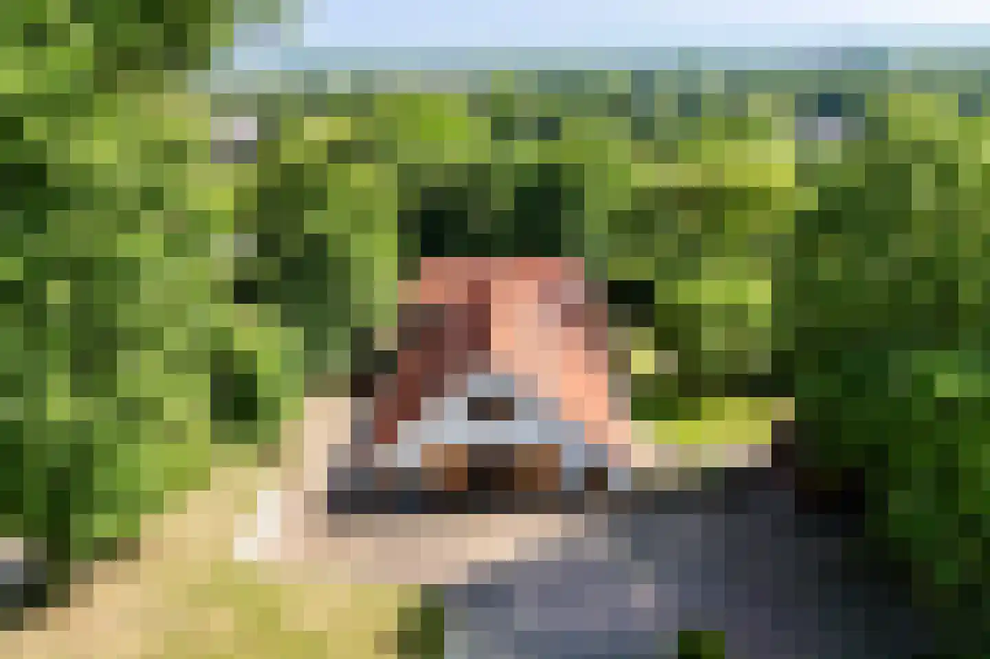 Amsterdamseweg 235 Arnhem thumbnail 4