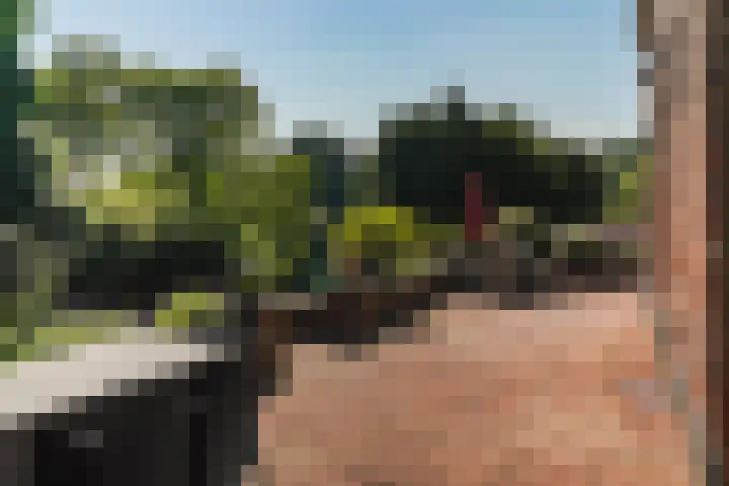 Amsterdamseweg 235 Arnhem thumbnail 48