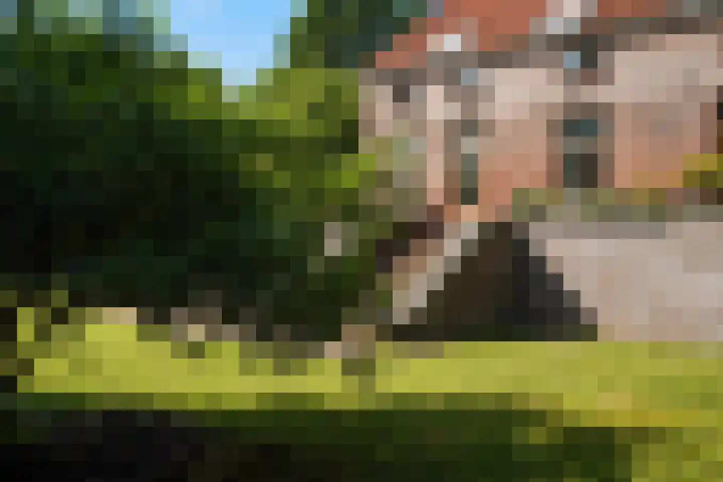 Amsterdamseweg 235 Arnhem thumbnail 53