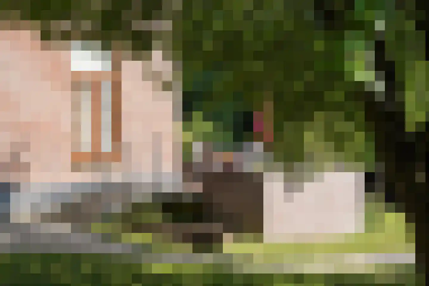 Amsterdamseweg 235 Arnhem thumbnail 55