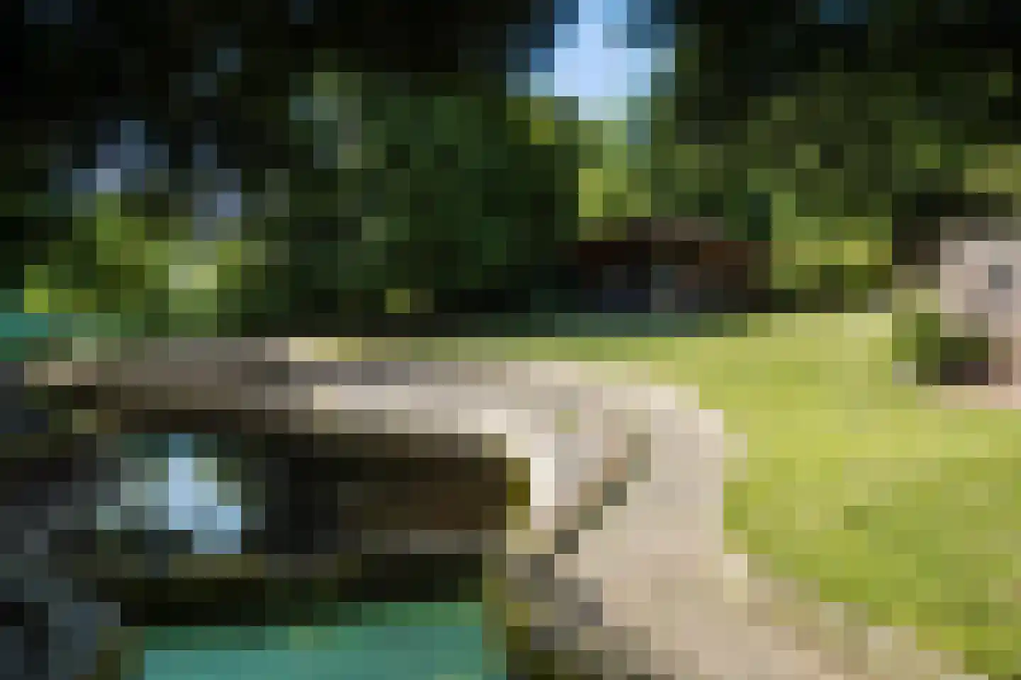 Amsterdamseweg 235 Arnhem thumbnail 56