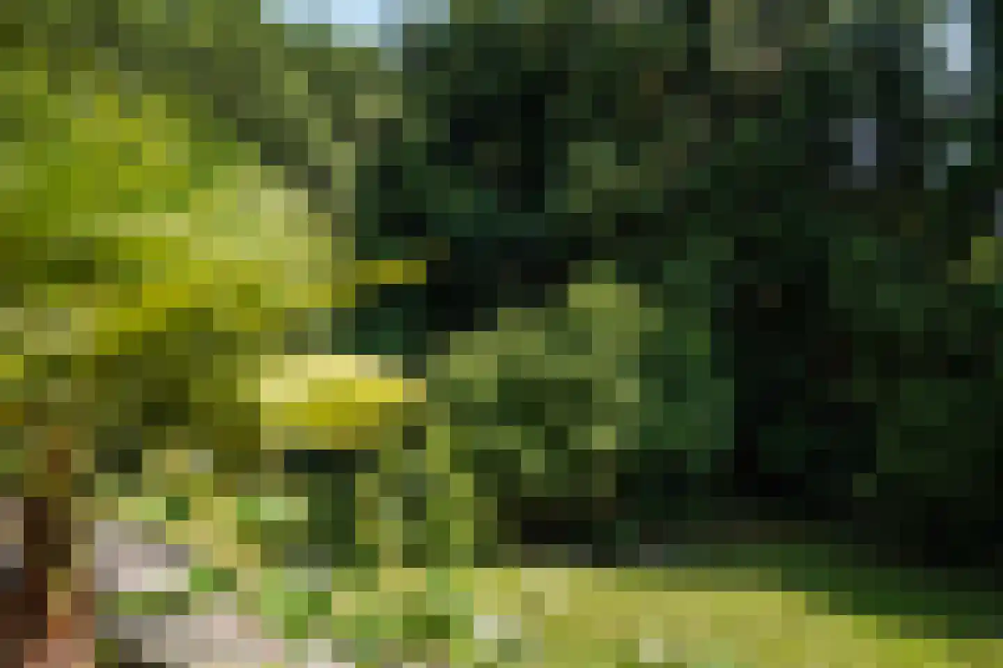 Amsterdamseweg 235 Arnhem thumbnail 59