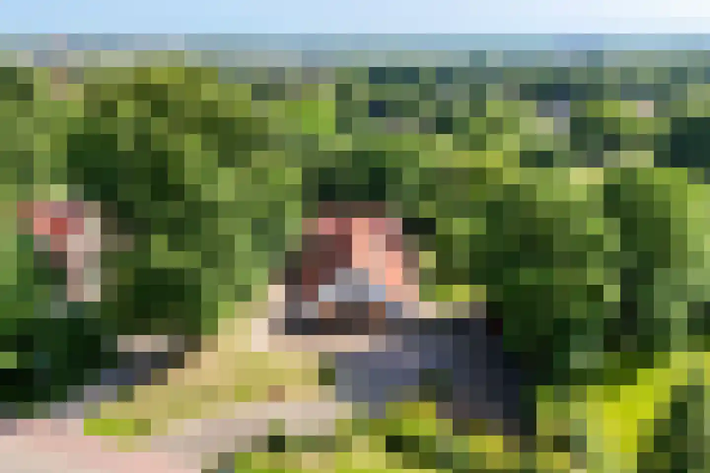 Amsterdamseweg 235 Arnhem thumbnail 62